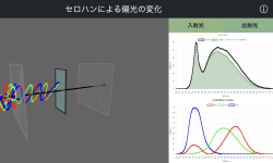 Featured image of post セロハンによる偏光の変化